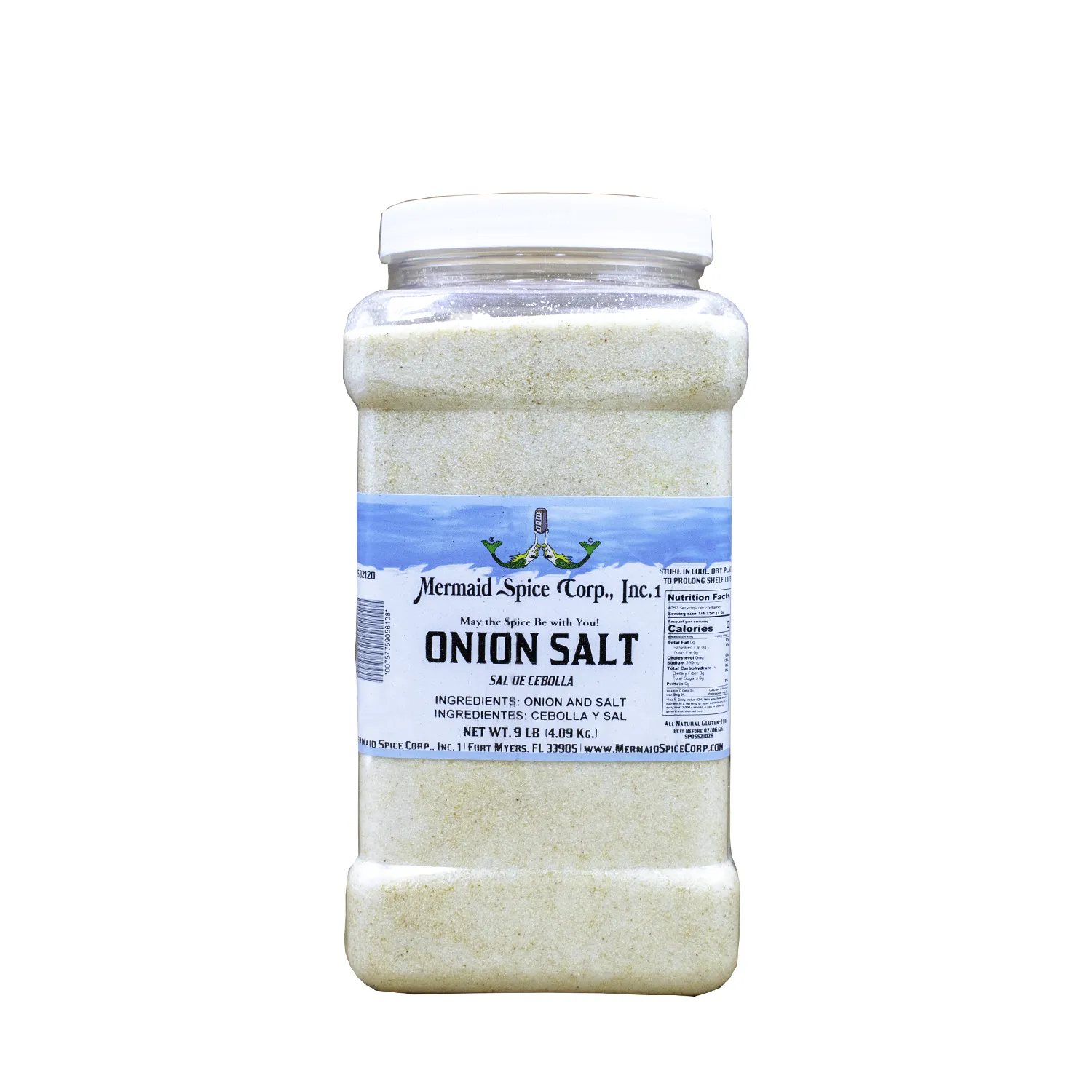 ONION SALT  9 LB
